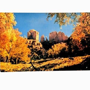 🍂 Vintage Postcard, Autumn in Oak Creek Canyon & Sedona,Cathedral Rock Unused
